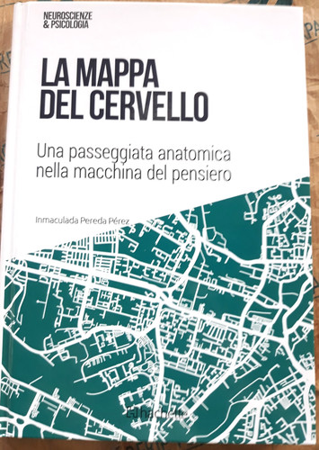 Mappa del cervello - mappa,
